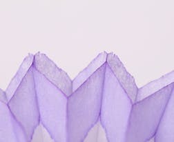 2025高考報(bào)志愿一共能填報(bào)幾個(gè)志愿學(xué)校 幾個(gè)專業(yè)