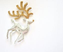 貴州省2024年普通高等學校招生和錄取工作設置